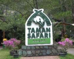 The pass is home to Cibodas Botanical Garden and Taman Safari, where you can see different plant and animal species.